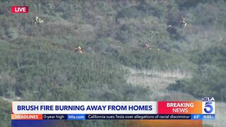 Evacuations remain as brush fire burns near Laguna Beach