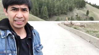 Alberta to British Columbia Road Trip | Travel Vlog | Trailer By : Soc Digital Media