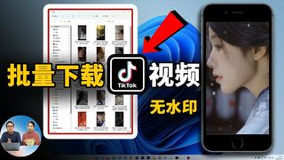 批量下载 TikTok、抖音的高清无水印视频！一键轻松搞定，完全免费！  | 零度解说