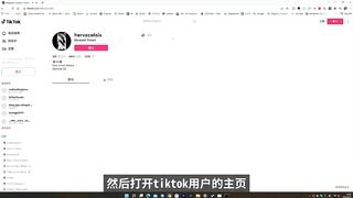 批量下载 TikTok、抖音的高清无水印视频！一键轻松搞定，完全免费！  | 零度解说