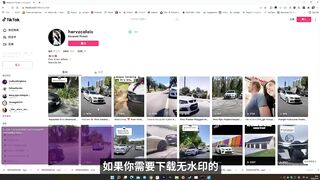 批量下载 TikTok、抖音的高清无水印视频！一键轻松搞定，完全免费！  | 零度解说