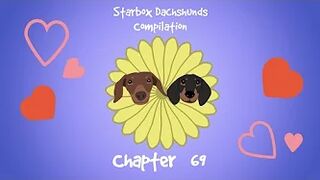 Starbox Dachshunds Compilation Chapter 69