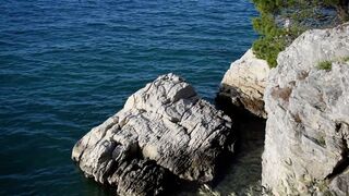 Nature Therapy - Soothing Sea Waves - Seagull flying over the wild beach - Anxiety and Stress Relief