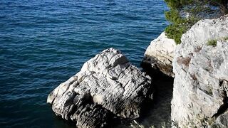 Nature Therapy - Soothing Sea Waves - Seagull flying over the wild beach - Anxiety and Stress Relief