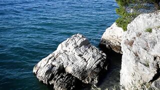 Nature Therapy - Soothing Sea Waves - Seagull flying over the wild beach - Anxiety and Stress Relief