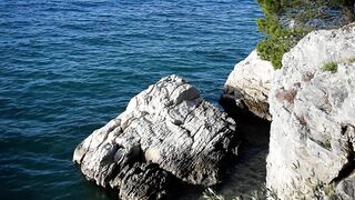 Nature Therapy - Soothing Sea Waves - Seagull flying over the wild beach - Anxiety and Stress Relief