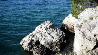 Nature Therapy - Soothing Sea Waves - Seagull flying over the wild beach - Anxiety and Stress Relief