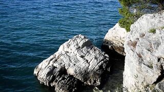 Nature Therapy - Soothing Sea Waves - Seagull flying over the wild beach - Anxiety and Stress Relief