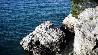 Nature Therapy - Soothing Sea Waves - Seagull flying over the wild beach - Anxiety and Stress Relief