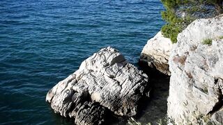 Nature Therapy - Soothing Sea Waves - Seagull flying over the wild beach - Anxiety and Stress Relief