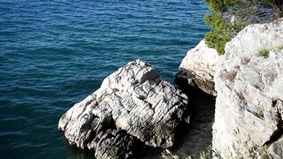 Nature Therapy - Soothing Sea Waves - Seagull flying over the wild beach - Anxiety and Stress Relief