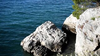 Nature Therapy - Soothing Sea Waves - Seagull flying over the wild beach - Anxiety and Stress Relief