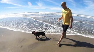 Taking our Dog to the Beach for the first time