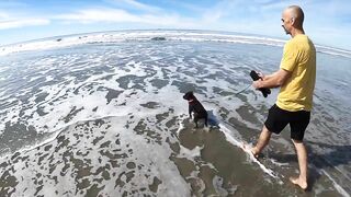 Taking our Dog to the Beach for the first time