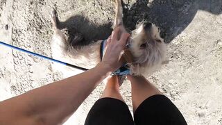 Taking our Dog to the Beach for the first time