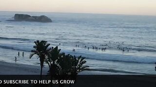 Before sunrise crowds on Cape Town beach? They are growing in numbers. Is this a new movement?