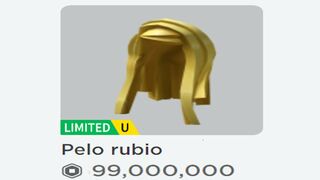 Roblox que hiciste...