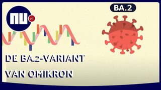 Waarom de BA.2-variant van omikron de 'sluipende variant' wordt genoemd | NU.nl