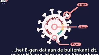 Waarom de BA.2-variant van omikron de 'sluipende variant' wordt genoemd | NU.nl