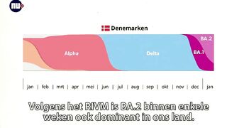 Waarom de BA.2-variant van omikron de 'sluipende variant' wordt genoemd | NU.nl