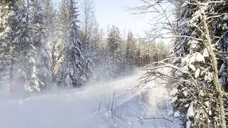 Compilation of Hyundai's Rally Sweden 2022 tests