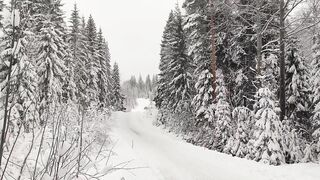 Compilation of Hyundai's Rally Sweden 2022 tests