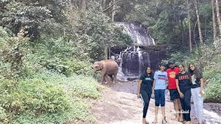 Trip to Gavi | The Forest and the Elephant Search - Promo | Travel Vlog | Podura Thambi Brake