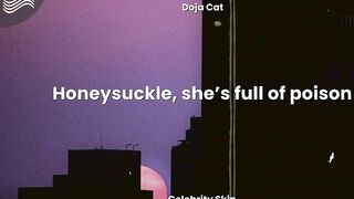 Doja Cat - Celebrity Skin (Lyrics)