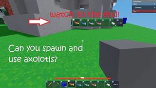 Can You Spawn And Use Axolotls? (Roblox Bedwars)