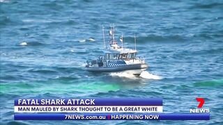 Fatal shark attack at Sydney's Little Bay beach | 7NEWS