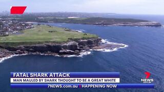 Fatal shark attack at Sydney's Little Bay beach | 7NEWS