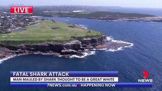 Fatal shark attack at Sydney's Little Bay beach | 7NEWS