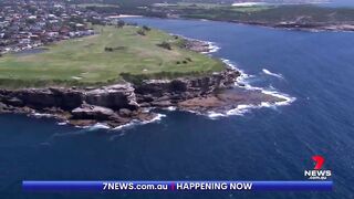 Fatal shark attack at Sydney's Little Bay beach | 7NEWS