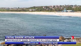 Fatal shark attack at Sydney's Little Bay beach | 7NEWS