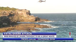 Fatal shark attack at Sydney's Little Bay beach | 7NEWS