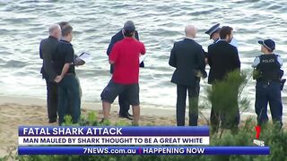 Fatal shark attack at Sydney's Little Bay beach | 7NEWS