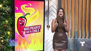 Zuleyka Rivera, ex Miss Universo, lució sus curvas en bikini | Más picantes que el chile | Telemundo