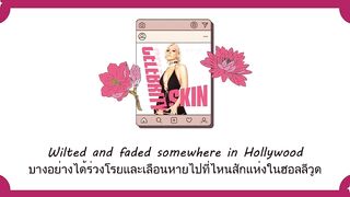 แปลเพลง Celebrity Skin - Doja Cat (Thaisub ความหมาย ซับไทย)