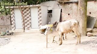 Best amazing funniest video 2022 Nonstop funny comedy video By Bindas fun bd