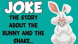 Funny Joke - The Story About The Bunny And The Snake When They Met In The Forest
