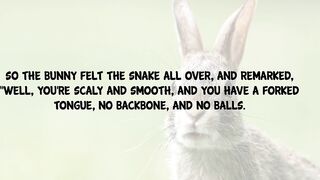 Funny Joke - The Story About The Bunny And The Snake When They Met In The Forest