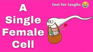 Funny jokes - A single female cell