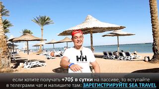 ???? За счет чего идет прибыль в Sea Travel