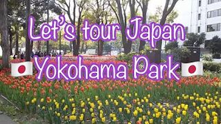 Yokohama Park #yokohama #japan #tour #travel #tourist #flowers