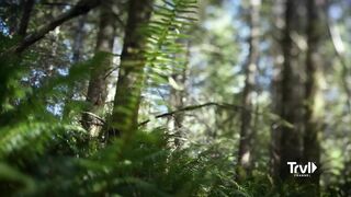 Search for Bigfoot Reaches New Heights | Expedition Bigfoot | Travel Channel