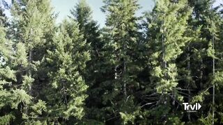 Search for Bigfoot Reaches New Heights | Expedition Bigfoot | Travel Channel