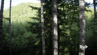 Search for Bigfoot Reaches New Heights | Expedition Bigfoot | Travel Channel