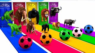 Cow Tiger Mammoth Elephant Dinosaur Bull Buffalo Choose Right Door Game Challenge Video