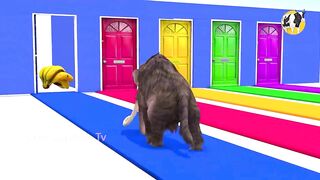 Cow Tiger Mammoth Elephant Dinosaur Bull Buffalo Choose Right Door Game Challenge Video