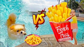 Challenge in the pool - real food vs floating